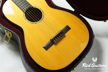 00-Nylon w/FISHMAN Matrix VT Enhance